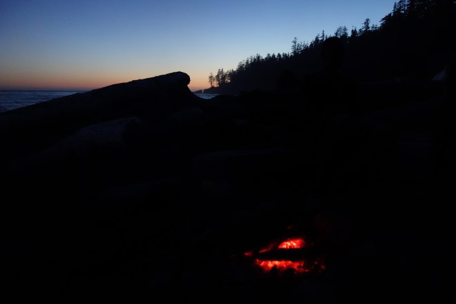 Waiting for the Night