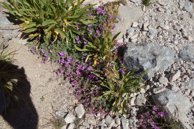 1CF21A6C-76A4-4CE6-9DF6-B59FF7CC1636