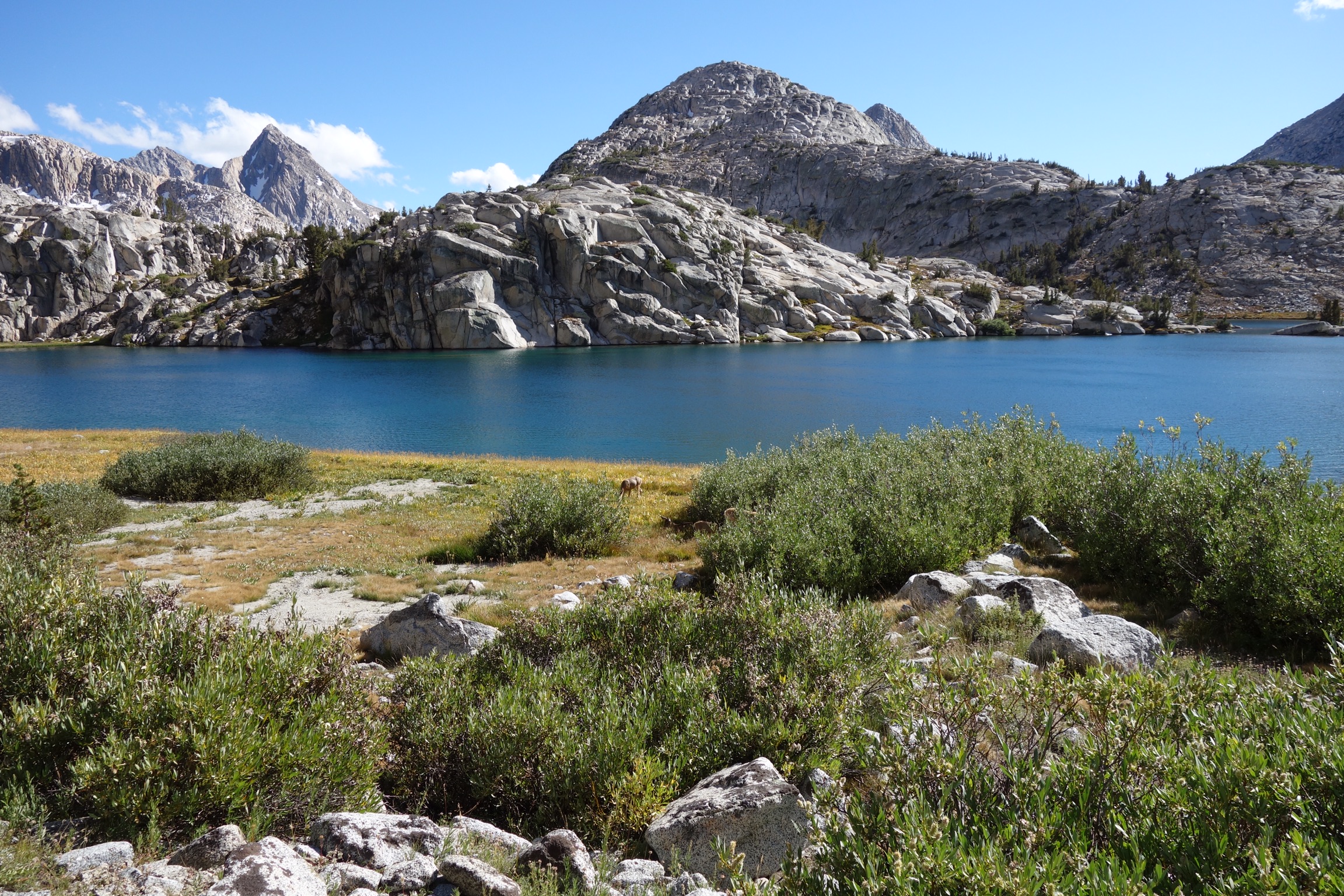 23EC5C31-2D6B-493A-9618-A59DA3CC81FF