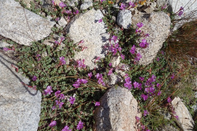 6749C090-88CE-44E6-896A-9527622C4BBD