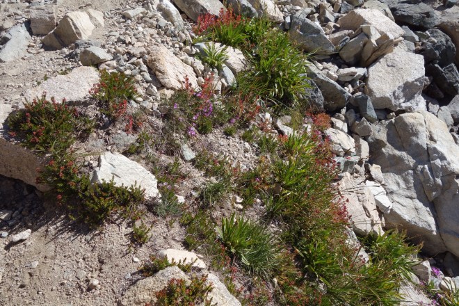 94561A4A-7445-450B-AB89-0B4B06128726