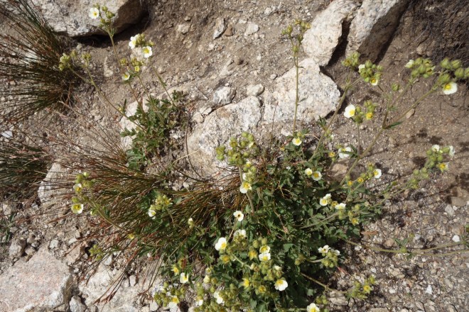 97E453CC-1CFD-48CC-8541-8AB10B0A9861