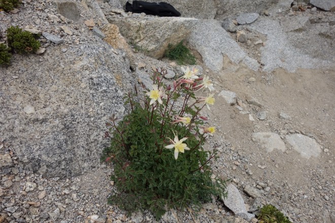 A4453D10-CBD7-4A76-96EC-E1E50523EEE2