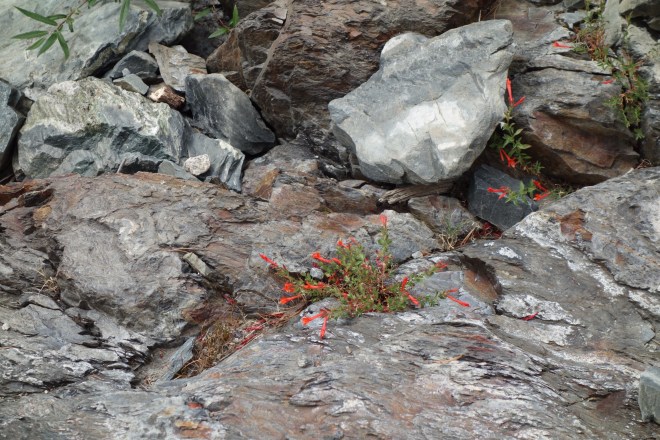 C2A7E61E-828E-4D1B-861C-93030238A3EA