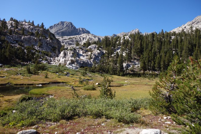 CC57436C-5E79-412F-BDAE-8EE8A96A47E4