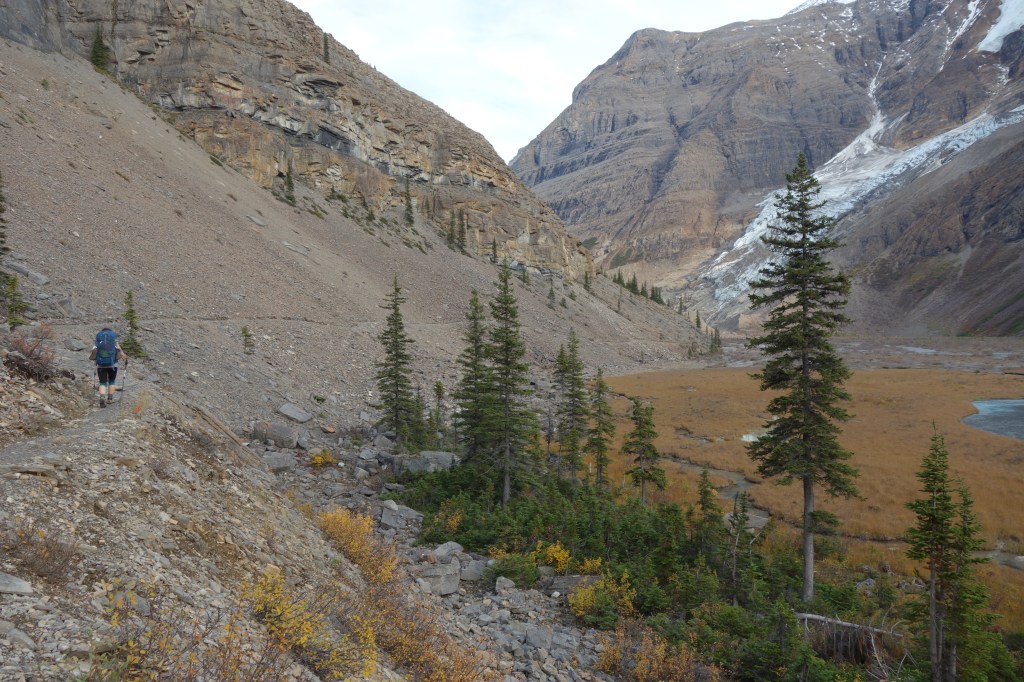 Glacier Plains After Emperor Falls Campground